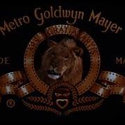 Mgm 1995