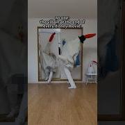 Дисней Тренд Из Тик Тока