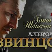 Александр Звинцов Альбомы