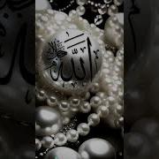 1 Allah Reham Kare X Nadeem X Sirf Hamsafar X Sargodha