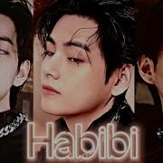 Taehyung Habibi