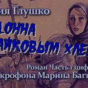 Аудиокнига О Жизни