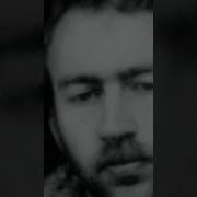 Неуловимый Хищник Следствие Вели