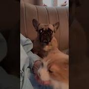 Обрати Внимание На Мои Страдания