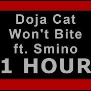 Doja Cat Wont Bite 1 Hour