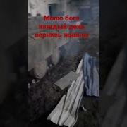 Папа Вернись Живым