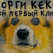 Корги Кекс Первый Клип