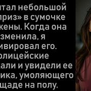 Я Положил Большой Сюрприз В Сумочку Моей Неверной Жены И Активировал Его Во Время Акта