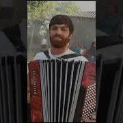 Расул Шумелик 111