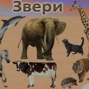 Урок Окружающего Мира На Тему Какие Бывают Животные