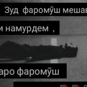 Шикасти Дил
