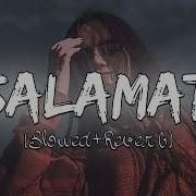 Salamat Slowed Reverb Sharma Ji Piyush Kumar