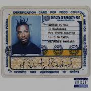 Odb Return To The 36 Chambers Album
