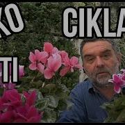 Ciklama