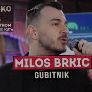 Milos Brkic Gubitnik