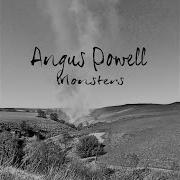 Hole In My Heart By Angus Powell