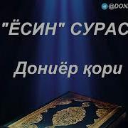 Surat Al Yasin Ёсин Сураси Дониёр К Ори