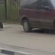 Наша Жопа Таракан