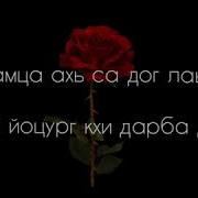 Раяна Цу Хьан Хазало Да Г1О Доцуш Д1А Лаьцна Дог