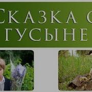 Сказка О Гусыне Крылья Матери Василий Сухомлинский