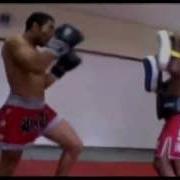 Мма Джозе Альдо Jose Aldo Работа По Лапам