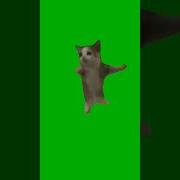 Зеленый Фон Happy Happy Happy