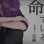 Original Mv Жизнь Нас Ненавидит Ver志麻