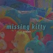 Missing Kitty Slowed