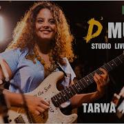 Muzica Studio Live