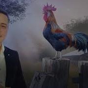 Sergiu Cabătut Cucoselul