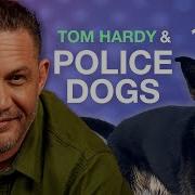 Tom Hardy Interview