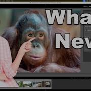 Matonix Synthic Lightroom