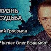 Василий Гроссман Жизнь И Судьба