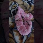 Гуччи Прада Луи Взгляд Тигрицы