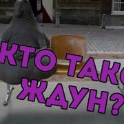 Грибы Feat Ждун Тает Лёд Пародия