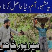 Ahmed Waqar