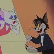 Torched Song Tom And Jerry New York