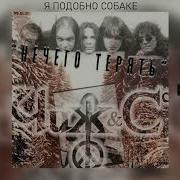 Чиж Я Подобно Собаке