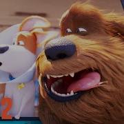 The Secret Life Of Pets 2