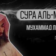 Сура Аль Мульк Люхайдан