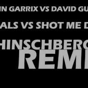 Martin Garrix Vs David Guetta Animals Vs Shot Me Down Dj Hinschberger