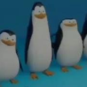 Кавасаки Каго Крико И Эстрипер 1 Час