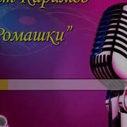 Ринат Каримов Ромашки Караоке