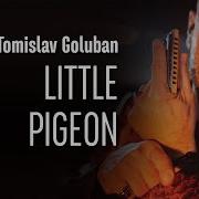 Tomislav Goluban Little Pigeon