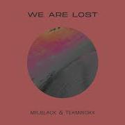 Mr Black We Are Lost