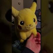 Plush Pichu Talking