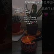 Плейлист Травницы