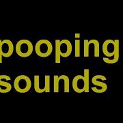 Poop Sound Effect