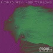 Richard Grey Need Your Lovin Radio Edit