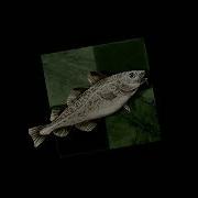 Stockfish Theme Slowed